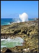 26 The Blowhole